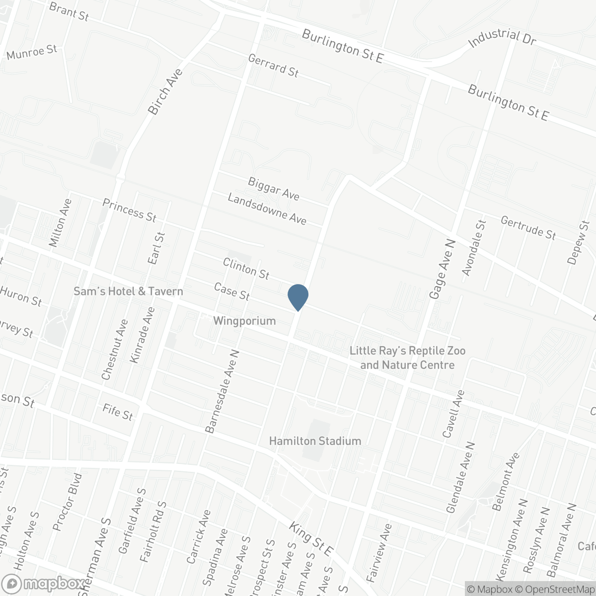 205 LOTTRIDGE Street, Hamilton, Ontario L8L 6V8